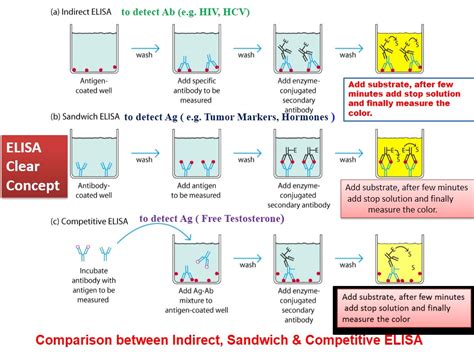 elisa test list pdf|elisa pdf notes.